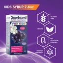 sambucol-black-elderberry-syrup-for-kids-3.jpg