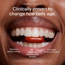 timeline-mitopure-urolithin-a-supplement-2.jpg