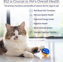 rx-vitamins-b12-for-dogs-and-cats---dog--3.jpg