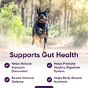 iheartdogs-3-in-1-probiotic-for-dogs-wit-3.jpg