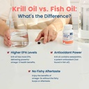 nativepath-antarctic-krill-oil-wild-caug-6.jpg