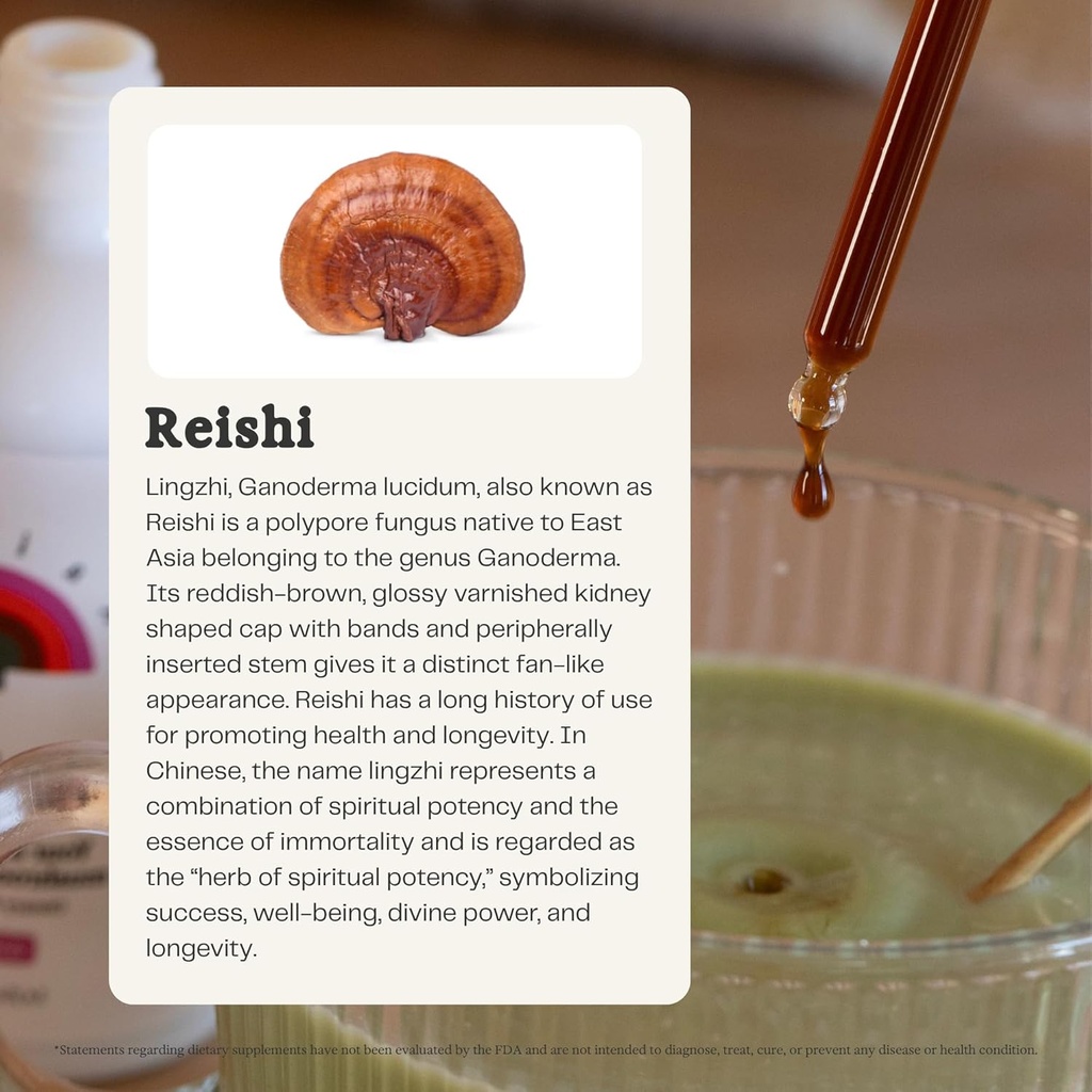 rainbo---reishi-mushroom-tincture---dual-3.jpg