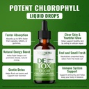 liquid-chlorophyll-drops-50mg-vegan-chlo-2.jpg