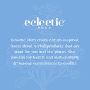 eclectic-institute-stone-root-o-2-ounce-4.jpg