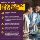 wellnessone-proonezyme-digestive-enzymes-3.jpg