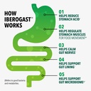 iberogast-gummies-upset-stomach-relief-h-3.jpg