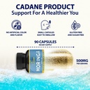 cadane-moringa-extract-capsules-3-months-2.jpg