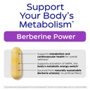 enzymedica-berberine-hcl-supplement-510--2.jpg