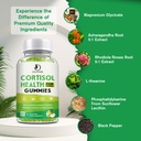 cortisol-detox-for-women-gummies-cortiso-2.jpg