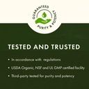 swanson-double-strength-apple-cider-vine-3.jpg