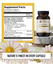 your-flora-probiotic-comfort-non-gmo-pro-2.jpg
