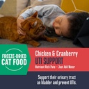 whole-life-cat-urinary-supplement-feline-3.jpg