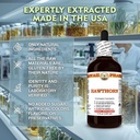hawthorn-crataegus-laevigata-dry-leaf-an-4.jpg