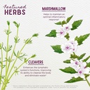 wishgarden-herbs-kidney-strength-plant-b-4.jpg