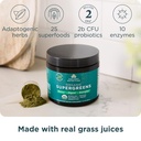 ancient-nutrition-organic-supergreens-po-2.jpg
