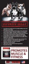 ultimate-bully-maximum-performance-canin-4.jpg