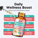 liposomal-glutathione-supplement-2000mg--4.jpg