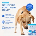 native-pet-probiotics-for-dogs-dog-probi-2.jpg