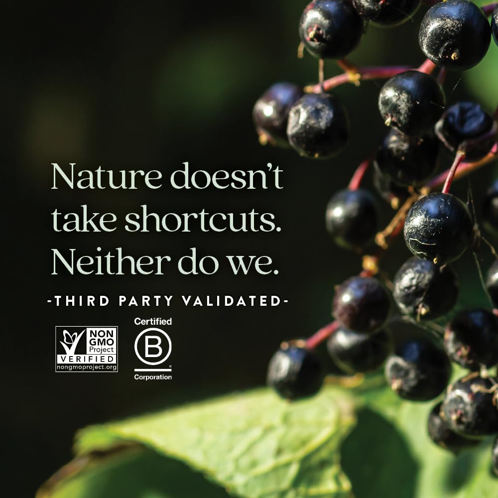 new-chapter-elderberry-kids-syrup-advanc-5.jpg