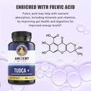 tudca-500mg-60-capsules-tauroursodeoxych-3.jpg