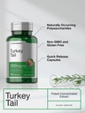 horb-ach-turkey-tail-mushroom-capsules-1-4.jpg