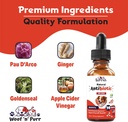 dog-antibiotics-for-infection-coughs-uti-5.jpg