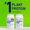 leanfit-organic-plant-based-protein-powd-4.jpg