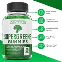 atlantis-nutrition-supergreens-60-gummie-2.jpg