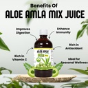 basic-ayurveda-aloe-vera-amla-herbal-mix-3.jpg