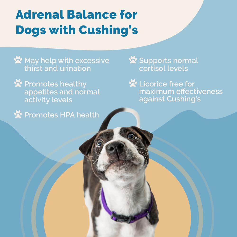 pranapets-adrenal-balance-for-dogs-with--4.jpg