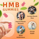 hmb-and-leucine-gummies-supplement-hmb-s-3.jpg