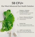bioptimizers-p3-om-60-capsules-and-magne-3.jpg