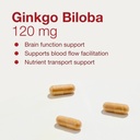 protocol-for-life-balance-ginkgo-biloba--4.jpg