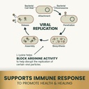 vetriscience-lysine-immunity-health-chew-5.jpg