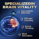 smarto-one-brain-nutrition-proprietary-b-3.jpg