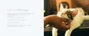 silver-biotics-pet-vet-immune-support-en-6.jpg