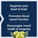 super-omega-3-fish-oil-sesame-olive-extr-4.jpg