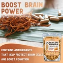 xprs-nutra-cordyceps-mushroom-powder-cap-3.jpg