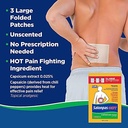 salonpas-pain-relieving-hot-capsicum-pat-5.jpg