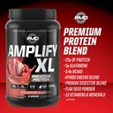 pmd-sports-amplify-xl-premium-whey-prote-6.jpg