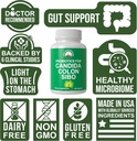 probiotics-for-candida-colon-cleanse-ibs-4.jpg