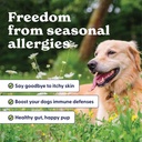 origin-labs-allergy-and-immune-support-s-2.jpg