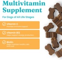 solid-gold-dog-multivitamin---soft-dog-v-6.jpg