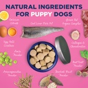 vetericyn-all-in-1-multifunctional-puppy-4.jpg