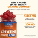 secret-element-creatine-monohydrate-gumm-2.jpg