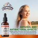 licorice-tincture-organic-licorice-extra-2.jpg