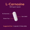 bestvite-l-carnosine-500mg-240-capsules--5.jpg