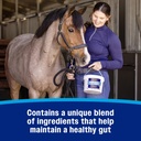 farnam-gastric-health-pellets-daily-gut--6.jpg