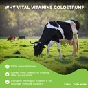 vital-vitamins-vegan-collagen-booster-ca-5.jpg