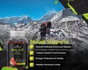 shilajit-gummies-pure-himalayan-shilajit-4.jpg